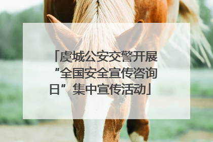 虞城公安交警开展“全国安全宣传咨询日”集中宣传活动