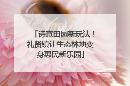 诗意田园新玩法！礼贤镇让生态林地变身惠民新乐园