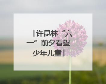 许昆林“六一”前夕看望少年儿童