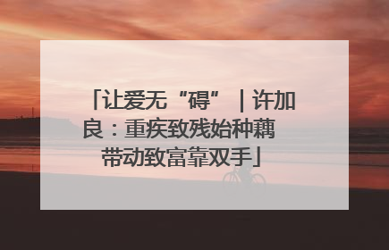 让爱无“碍”｜许加良：重疾致残始种藕 带动致富靠双手