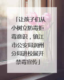 让孩子们从小树立防毒拒毒意识，镇江市公安局润州分局进校展开禁毒宣传