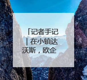 记者手记｜在小镇达沃斯，欧企展望牵手中国AI