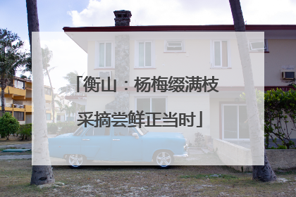 衡山：杨梅缀满枝 采摘尝鲜正当时
