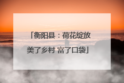 衡阳县：荷花绽放 美了乡村 富了口袋
