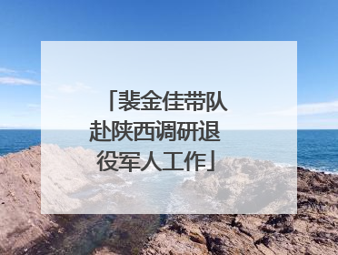 裴金佳带队赴陕西调研退役军人工作
