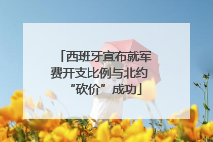 西班牙宣布就军费开支比例与北约“砍价”成功