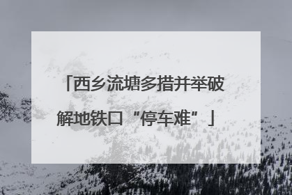 西乡流塘多措并举破解地铁口“停车难”