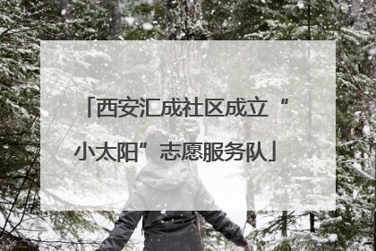 西安汇成社区成立“小太阳”志愿服务队