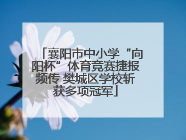 襄阳市中小学“向阳杯”体育竞赛捷报频传 樊城区学校斩获多项冠军