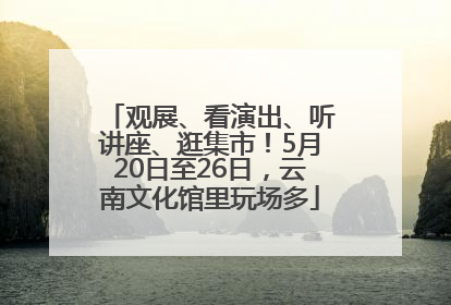 观展、看演出、听讲座、逛集市！5月20日至26日，云南文化馆里玩场多