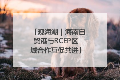 观海潮｜海南自贸港与RCEP区域合作互促共进