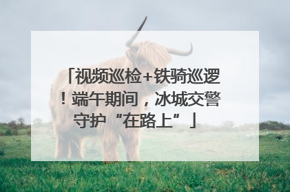 视频巡检+铁骑巡逻！端午期间，冰城交警守护“在路上”