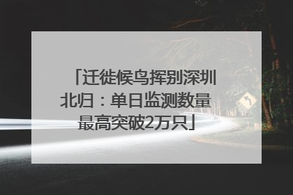 迁徙候鸟挥别深圳北归：单日监测数量最高突破2万只