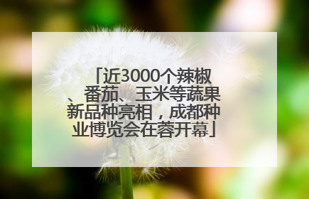 近3000个辣椒、番茄、玉米等蔬果新品种亮相，成都种业博览会在蓉开幕