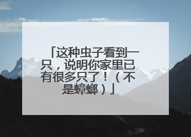 这种虫子看到一只，说明你家里已有很多只了！（不是蟑螂）