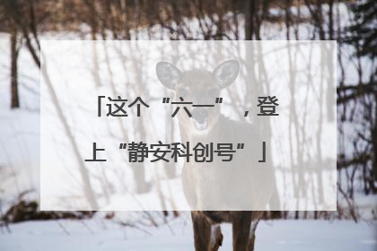 这个“六一”，登上“静安科创号”