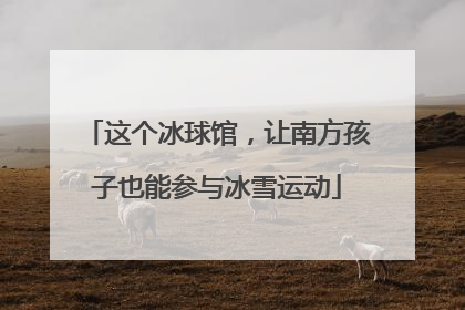 这个冰球馆，让南方孩子也能参与冰雪运动