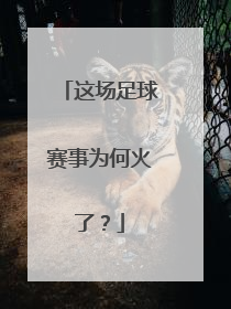 这场足球赛事为何火了？