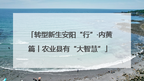 转型新生安阳“行”·内黄篇丨农业县有“大智慧”