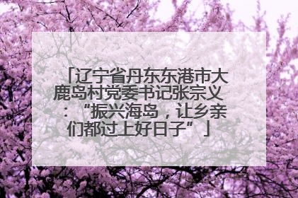 辽宁省丹东东港市大鹿岛村党委书记张宗义：“振兴海岛，让乡亲们都过上好日子”