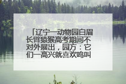 辽宁一动物园白眉长臂猿猴高考期间不对外展出，园方：它们一高兴就喜欢鸣叫，怕影响考试