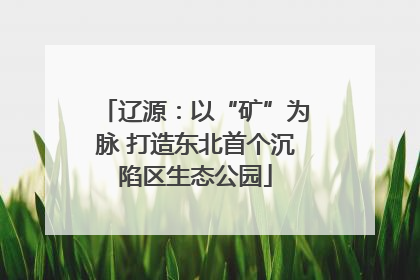 辽源：以“矿”为脉 打造东北首个沉陷区生态公园