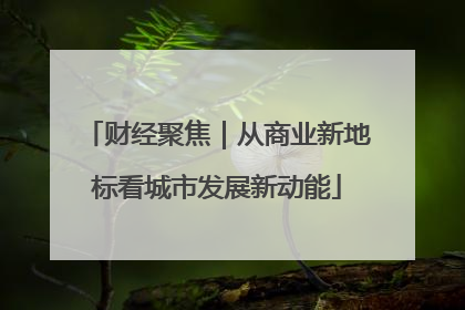 财经聚焦｜从商业新地标看城市发展新动能