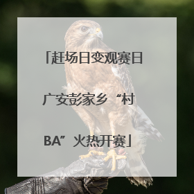 赶场日变观赛日 广安彭家乡“村BA”火热开赛