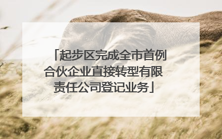 起步区完成全市首例合伙企业直接转型有限责任公司登记业务
