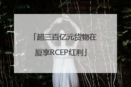 超三百亿元货物在厦享RCEP红利
