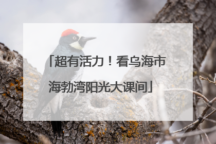 超有活力！看乌海市海勃湾阳光大课间