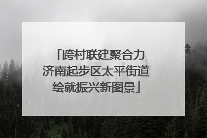 跨村联建聚合力 济南起步区太平街道绘就振兴新图景