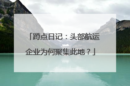 蹲点日记：头部航运企业为何聚集此地？