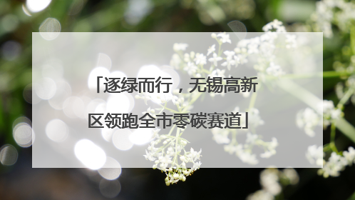 逐绿而行，无锡高新区领跑全市零碳赛道