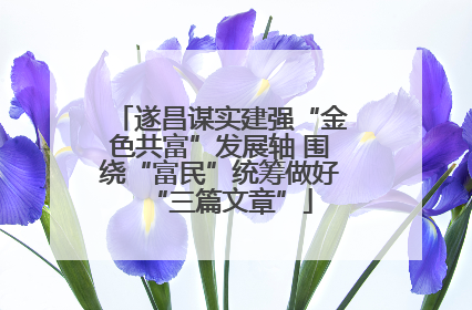 遂昌谋实建强“金色共富”发展轴 围绕“富民”统筹做好“三篇文章”