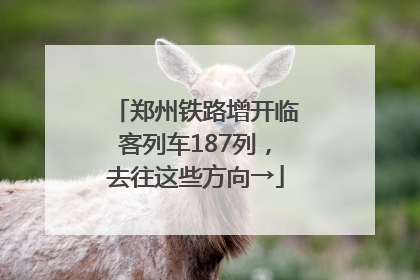 郑州铁路增开临客列车187列，去往这些方向→