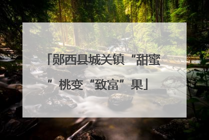 郧西县城关镇“甜蜜”桃变“致富”果