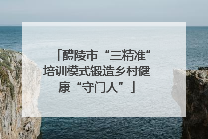 醴陵市“三精准”培训模式锻造乡村健康“守门人”