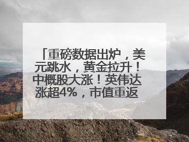 重磅数据出炉，美元跳水，黄金拉升！中概股大涨！英伟达涨超4%，市值重返全球第一！黄仁勋计划出售至多600万股股票