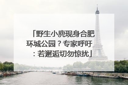 野生小麂现身合肥环城公园？专家呼吁：若邂逅切勿惊扰