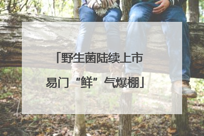 野生菌陆续上市 易门“鲜”气爆棚