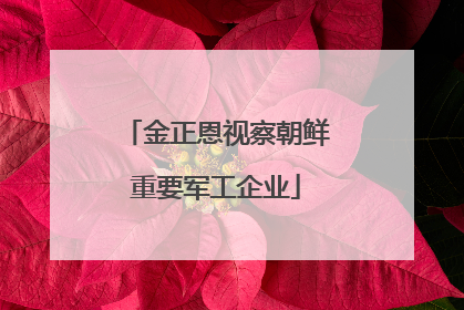 金正恩视察朝鲜重要军工企业