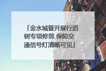 金水城管开展行道树专项修剪 保障交通信号灯清晰可见