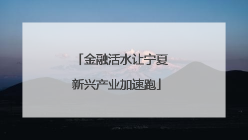 金融活水让宁夏新兴产业加速跑