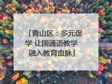 青山区：多元促学 让国通语教学融入教育血脉