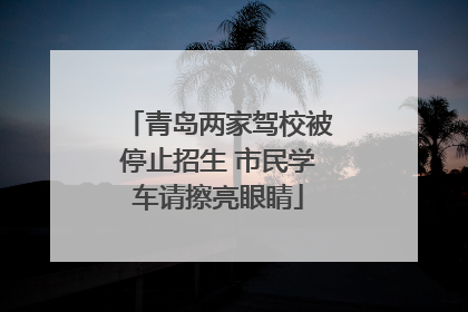 青岛两家驾校被停止招生 市民学车请擦亮眼睛