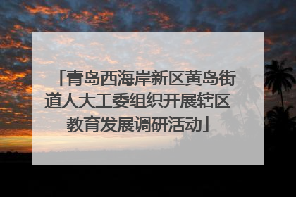 青岛西海岸新区黄岛街道人大工委组织开展辖区教育发展调研活动