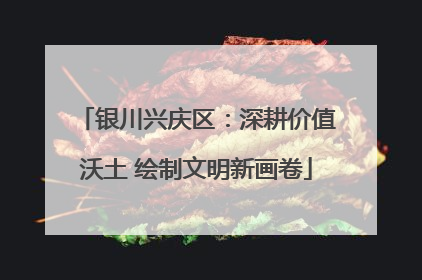 银川兴庆区：深耕价值沃土 绘制文明新画卷