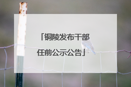 铜陵发布干部任前公示公告