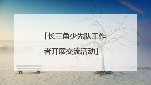 长三角少先队工作者开展交流活动